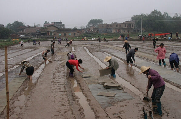 �������ָ�����ɳ����ũ���ִ���æ