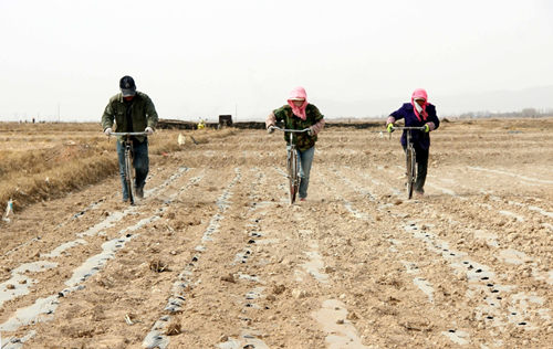 ������Ҵȫ����롰����ģʽ��