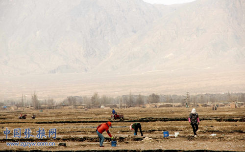 ������Ҵȫ����롰����ģʽ��2