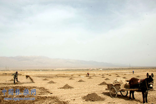 ������Ҵȫ����롰����ģʽ��3