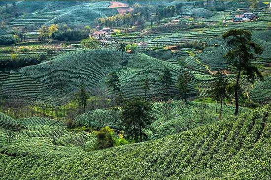 ����ë��