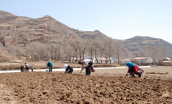 崲ũҵɫҵЧȲƽ