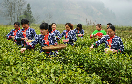 ����ǿڣ����迪԰��ժ ��ũ�ɲ�����