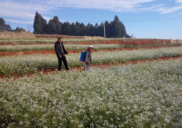 ����Ĳ�����������������ֲ����ʾ����ĿԲ�����