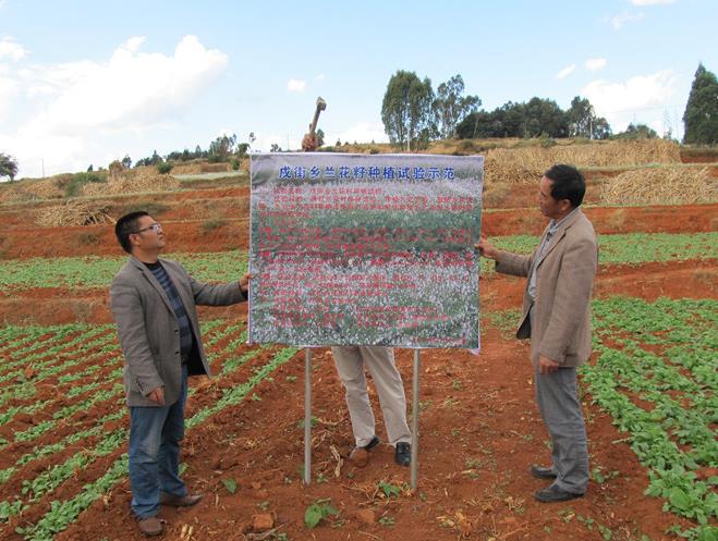 ����Ĳ�����������������ֲ����ʾ����ĿԲ�����2