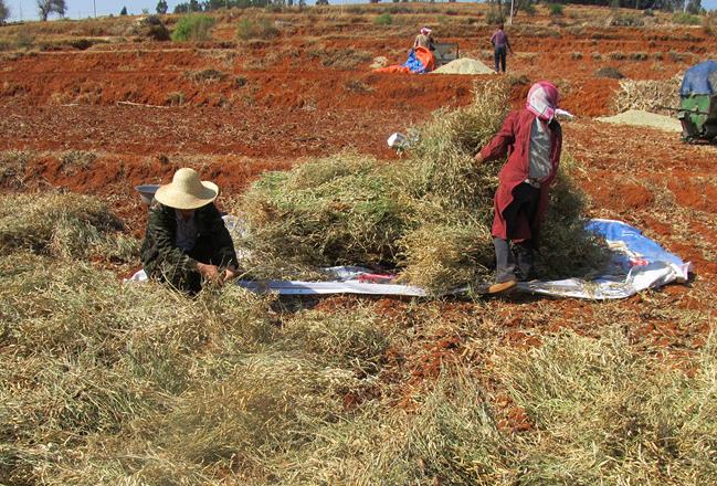 ����Ĳ�����������������ֲ����ʾ����ĿԲ�����3