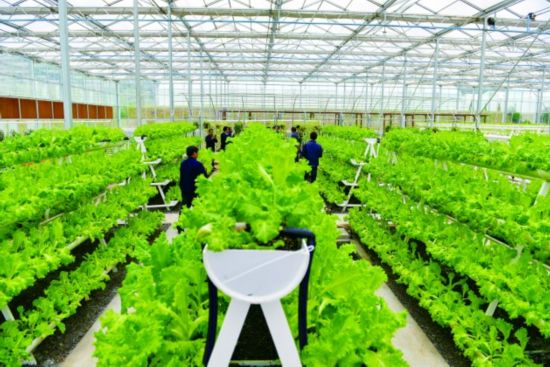 أչɽ̬ũҵʾ԰ƼԤƽ׿ȫɿ