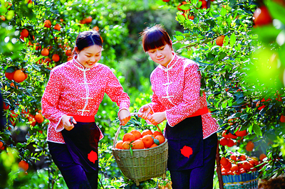 Ĵʯ޻ƹ̳Ϊ÷չũ֧ҵ