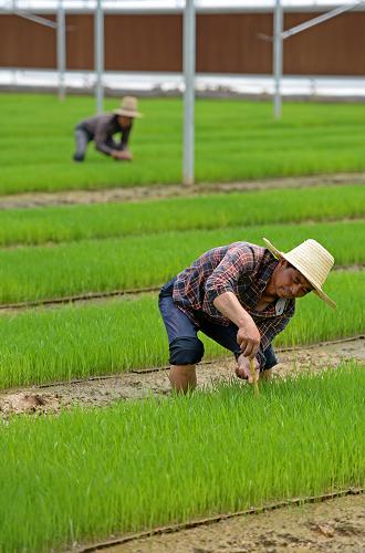 42գũڽʡ½ũרҵڲ鿴