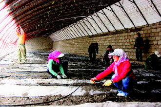 ����������������ũ�����չ���������ι���ʩ