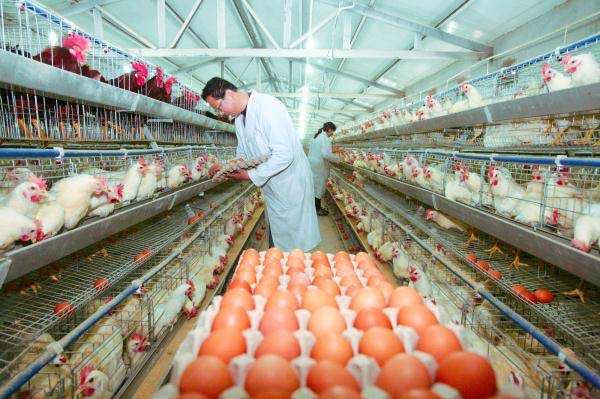 �½��������ش�������������ֳҵ