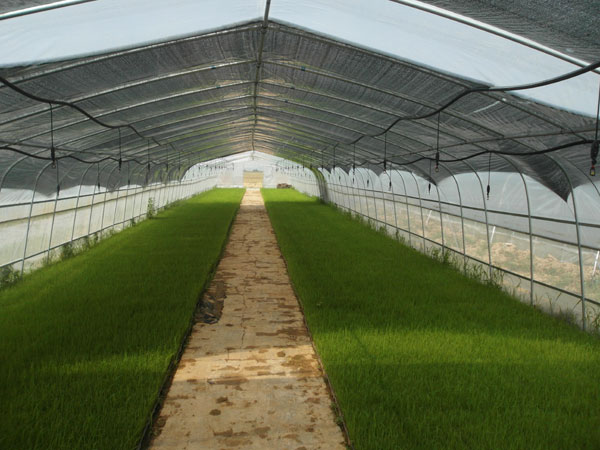 ���ջ������������絾��������ϲ��