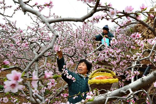ɽ����Դ��С�һ����ɴ��ҵ