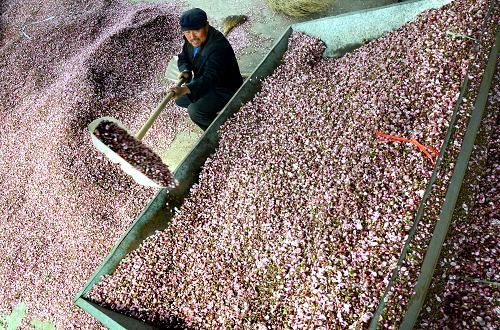 ��4��6�գ�ɽ��ʡ��Դ��������ï�������ũ���һ���¯׼���濾��