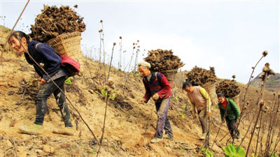 ���쿪�أ���ɽ�Ʈ��ľ�㡱 ����ͻ��2500��