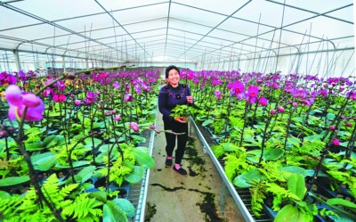 ���ջ�ɽ�У������ļ�������