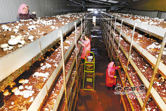 ���������ش��칤����ʳ�þ���������