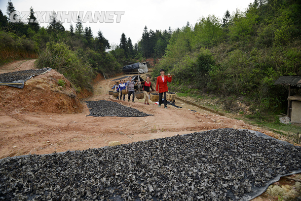 ǡժǡӡźǼҪӾѸٰľᵽɹɹҪʱɹõĸľ˽֡㣩