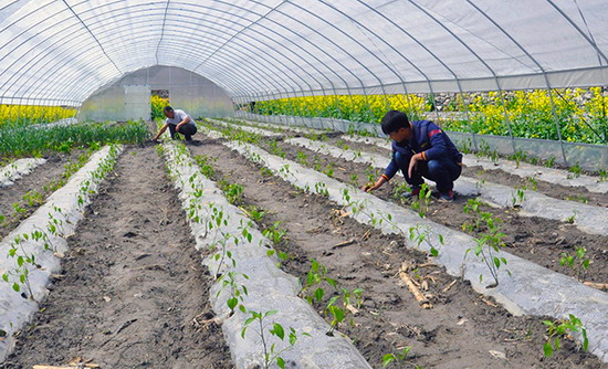 �������ػ���ΪȺ�ڷ�չ�����߲��ṩ����֧��