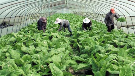 �����綫�����������¶�