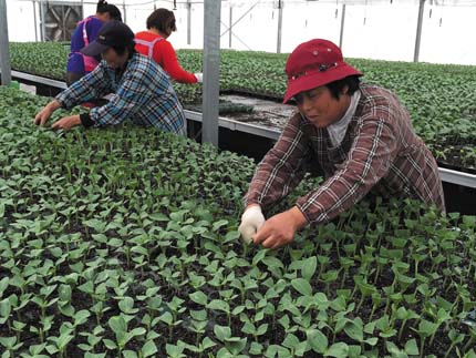 �����綫�����������¶�2