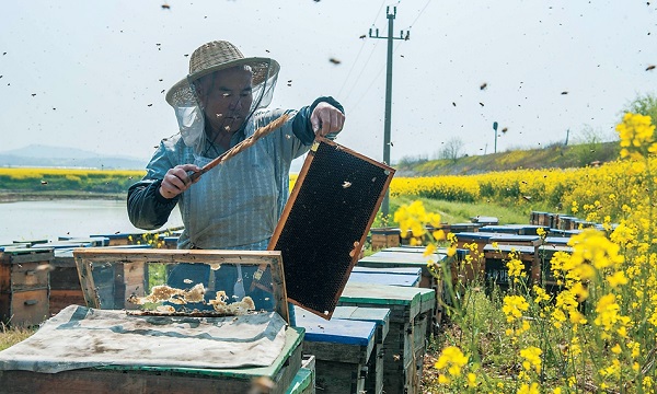 ���ճ����У���������������ۡ���ҵ