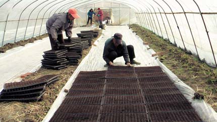 �����綫�����������¶�3