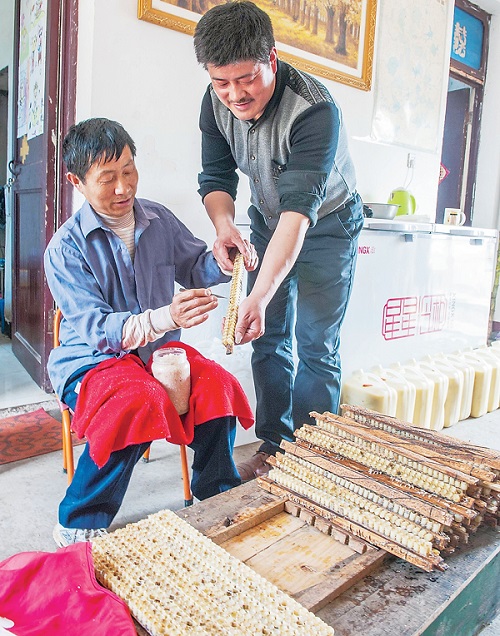 ���仧��ȡ�ۡ�