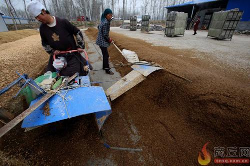 ��������ʳ�þ���ֲ������2