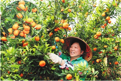 ����ƽ�������������ƴ���ϲ�͡������𡱸���ϲ�����