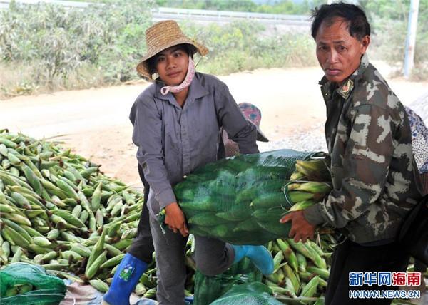 ���϶�������6��Ķ�����������չ�