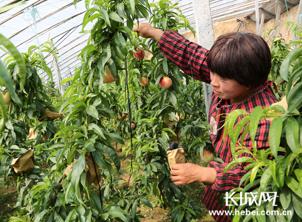 �ӱ��ˮ120�����ҳ��� ����18�հ��ժ��