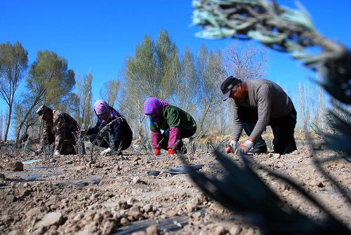 410գʡػлũһũҵҵ½ֲ񹤡
