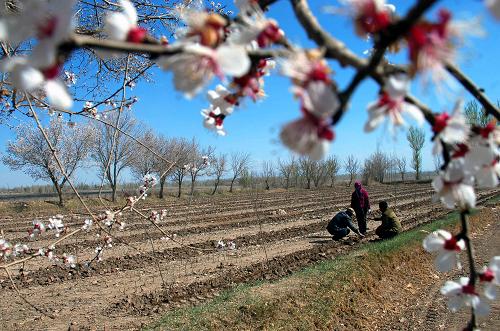 410գʡػлũڱһũרҵ½񹤡
