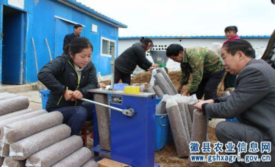 ������ز�ɣ��Чʾ��԰������ɣ֦����������ȫ��չ��