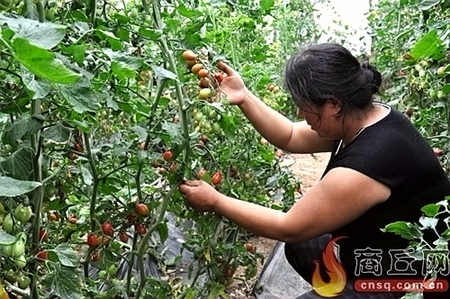 ��������������˸�ũ��