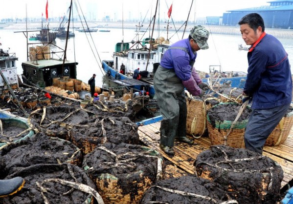 �������Ƹ��غ�13��Ķ�ϲ˴���� Ķ�����5��Ԫ