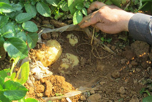 ���������ж���������������ˮ����ʾ����Ч����