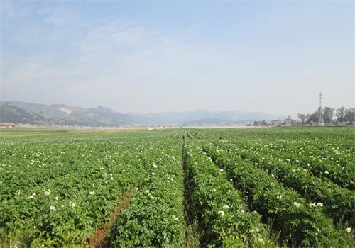 ���������ж���������������ˮ����ʾ����Ч����2