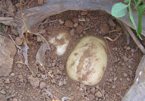 ���������ж���������������ˮ����ʾ����Ч����3