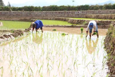 ����˫���������¿���ץ�ô�����������