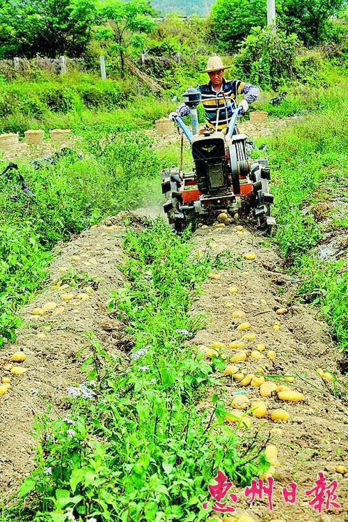 㶫дϼӿ巢չҵٴֳ¥