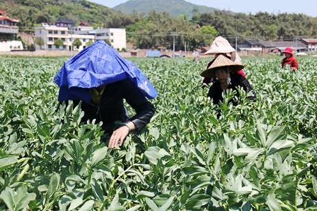 �����������£���Ķ�϶���ʼ��ժ����