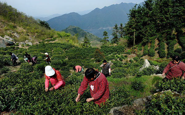 ��������ش��ɽ����Ʈ��