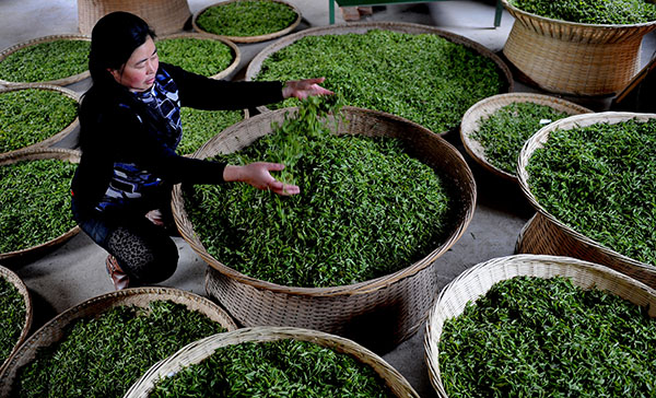 4��13�գ�����ذ�ɣ԰�賡ְ����Ϊ�²�ժ�Ĳ�Ҷ̯����