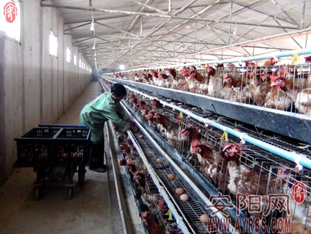 ���������ر�׼����ֳ��ũ����