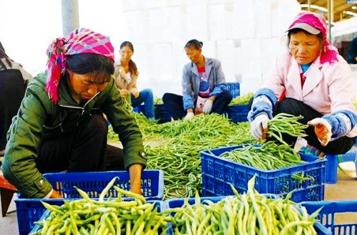 Ԫı�����߲˳��������⡣