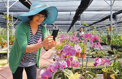 ��������ũ���ں� ũ���ο���