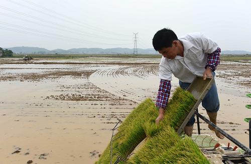 �������ش���æ