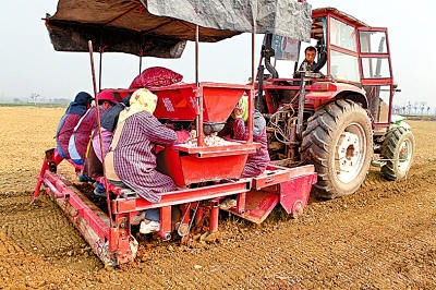 ���ϣ���ѧ����������